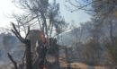 Σαλαμίνα: Σε εξέλιξη οι έρευνες της ΔΑΕΕ για τις καταστροφικές πυρκαγιές - Τα σενάρια που εξετάζονται