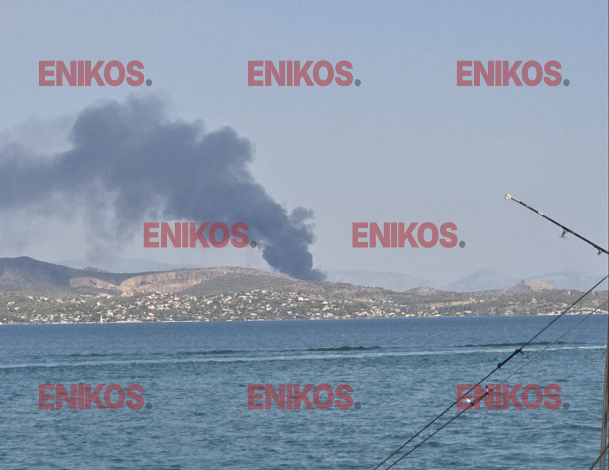 Σαλαμίνα: Φωτιά σε χαμηλή βλάστηση στην περιοχή Ελληνικό – Συναγερμός στην πυροσβεστική