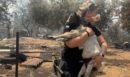 Συγκινητικές στιγμές ανθρωπιάς στη Βοιωτία: Η διοικήτρια του ΑΤ Μάνδρας έσωσε κατσικάκι από τις φλόγες - ΦΩΤΟ