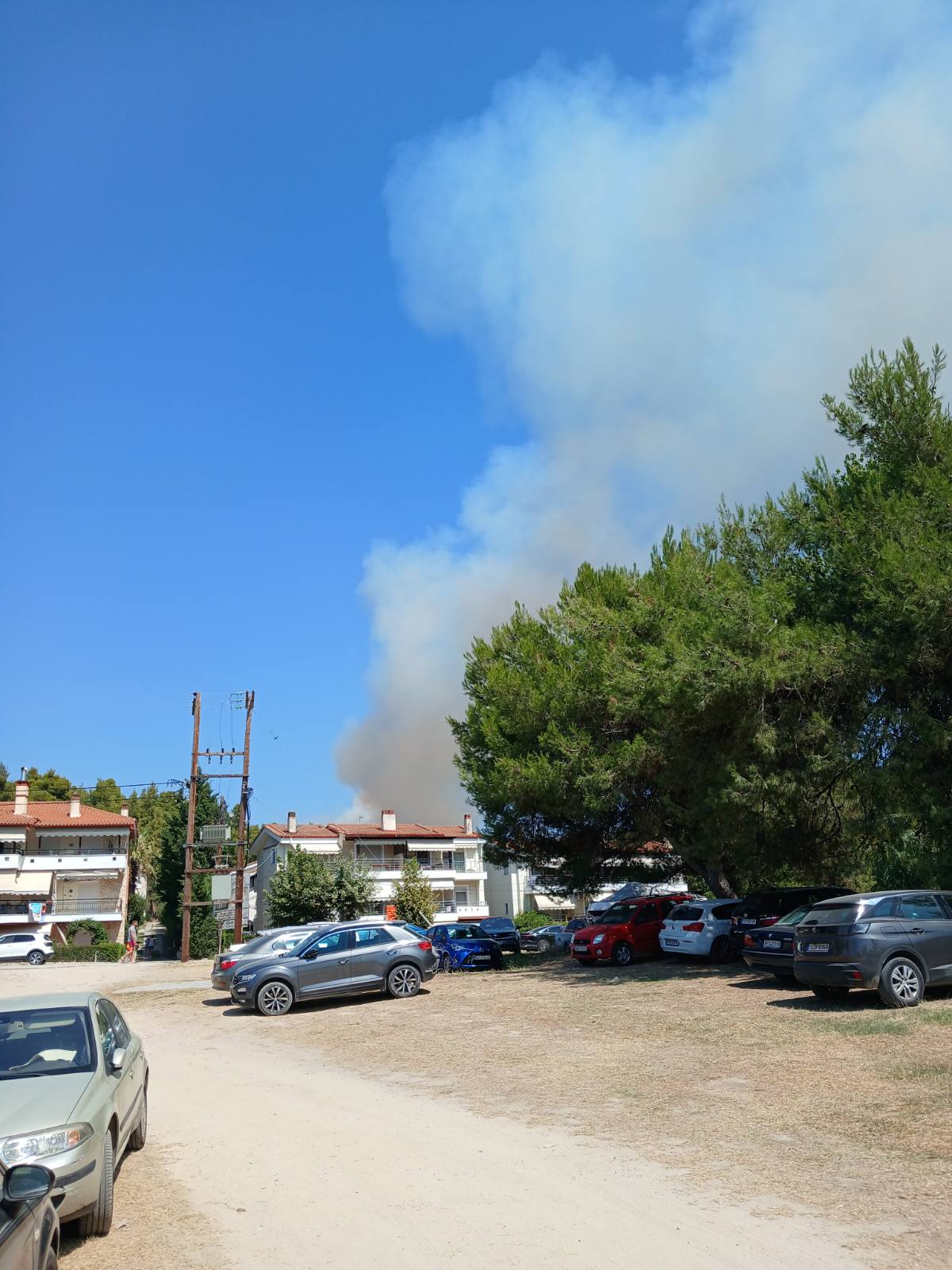 Φωτιά, Χαλκιδική