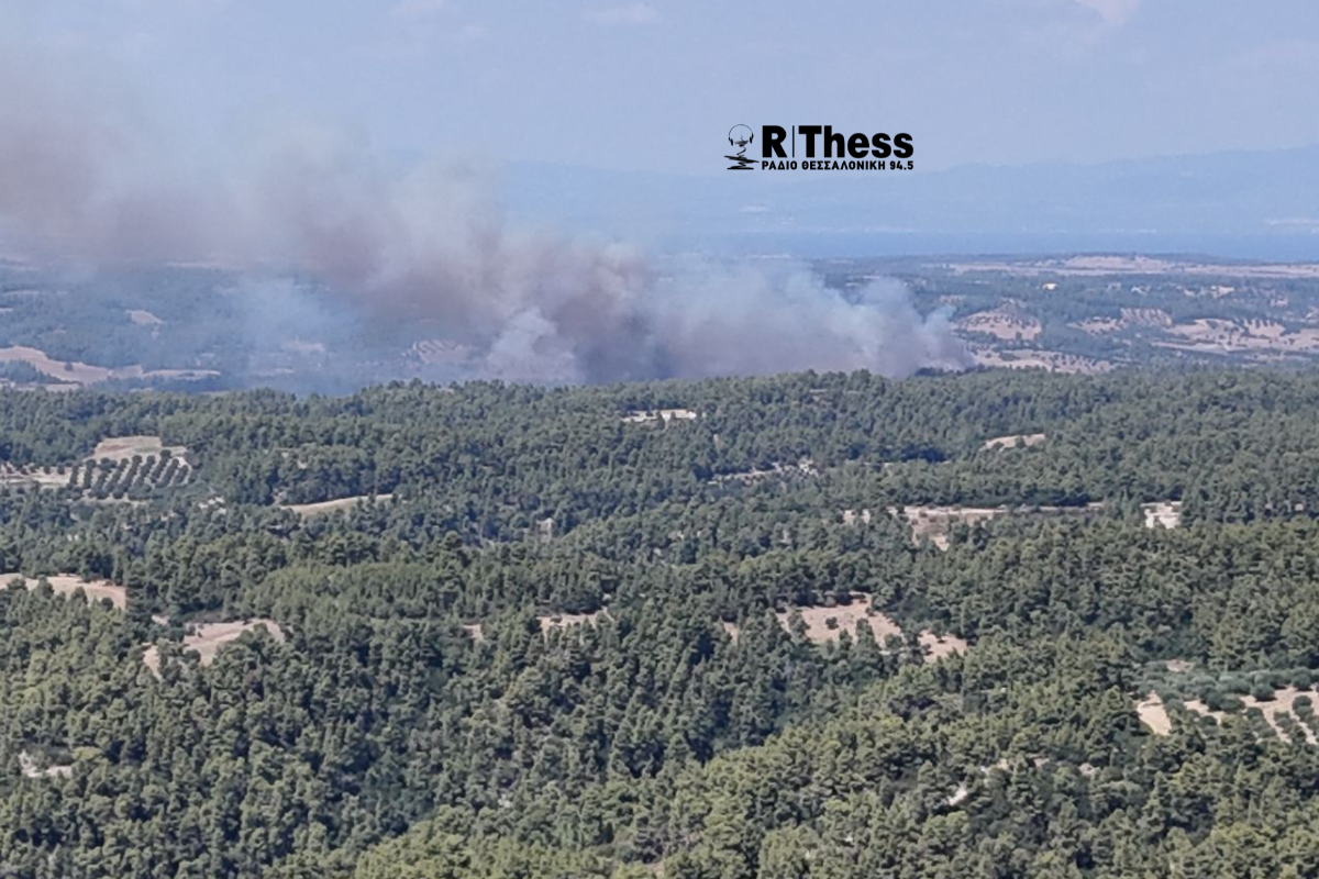 Φωτιά, Χαλκιδική