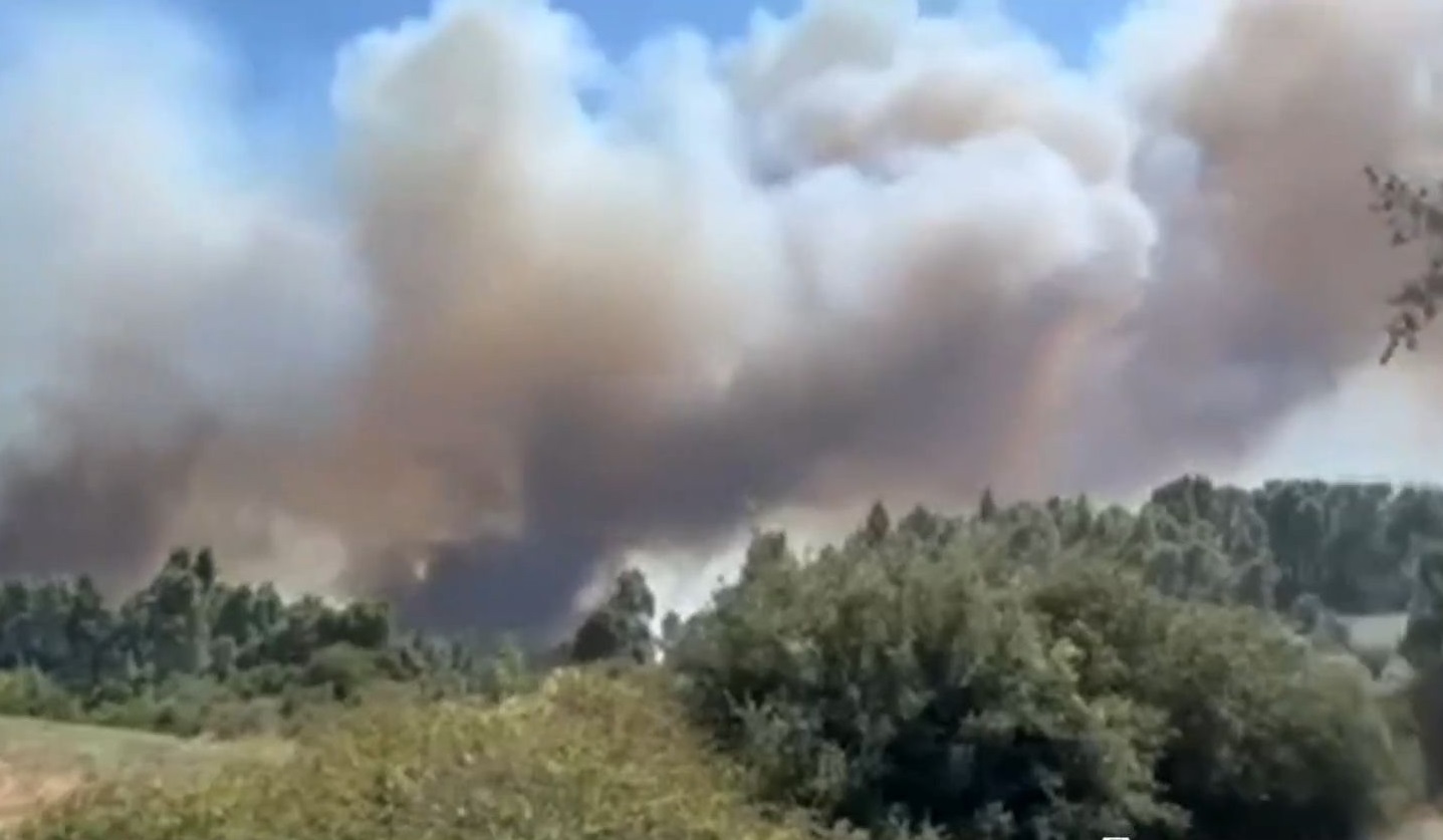 Φωτιά στη Χαλκιδική: Νέα μηνύματα από το 112 για εκκένωση των περιοχών Φούρκα και Σίβηρη