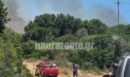 Φωτιά στη Ζάκυνθο: Νέο μήνυμα του 112 - Εκκενώνεται η περιοχή Ελιές