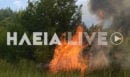 Φωτιά στην Ηλεία: Ενισχύθηκαν οι πυροσβεστικές δυνάμεις στο Μουζάκι – Δείτε φωτογραφίες