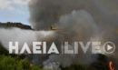 Σε εξέλιξη η φωτιά στο Μουζάκι Ηλείας: Καίει αναγεννημένο πευκοδάσος - Επιχειρούν και πάλι τα εναέρια μέσα
