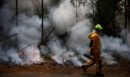 Γαλλία: 474 συλλήψεις για εμπρησμούς - 11.000 στρέμματα έγιναν στάχτη στην περιοχή Λαντ