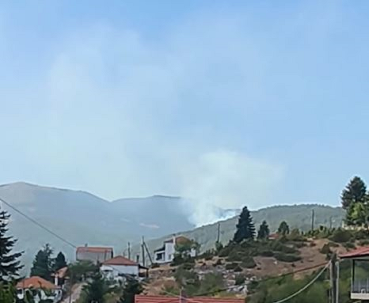 Φωτιά στο Ξηρολίβαδο Βέροιας – Καίει δασική έκταση