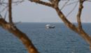 Στενά του Ορμούζ: Το Ιράν προειδοποιεί με πρόστιμα και κατάσχεση τα πλοία που παραβιάζουν τους κανόνες διέλευσης