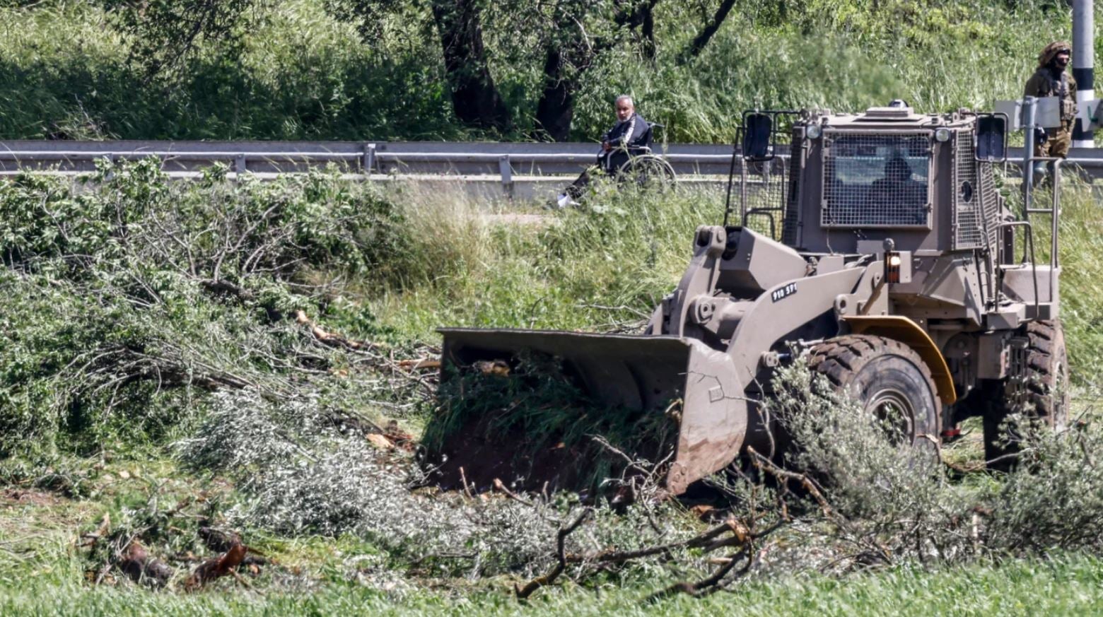 Δυτική Όχθη: Καταγγελίες για νέες ισραηλινές ενέργειες εκρίζωσης δέντρων και κατασχέσεων γης στην Τζενίν
