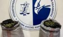 Εξαρθρώθηκε εγκληματική οργάνωση που διακινούσε ναρκωτικά στη Μεσσηνία - Κατασχέθηκαν πάνω από 10 κιλά κάνναβης
