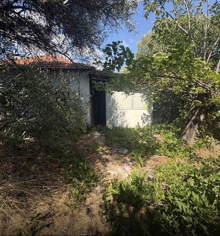 ΚΑΝΝΑΒΗ ΚΑΛΑΜΑΤΑ