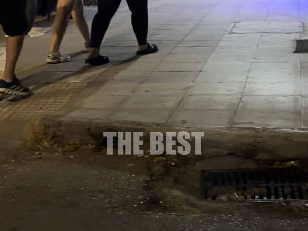 «Επιδρομή» κατσαρίδων μέρα-νύχτα στους δρόμους της Πάτρας – ΒΙΝΤΕΟ