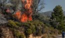 Κεφαλονιά: Χωρίς ενεργό μέτωπο η φωτιά στην περιοχή Πάστρα