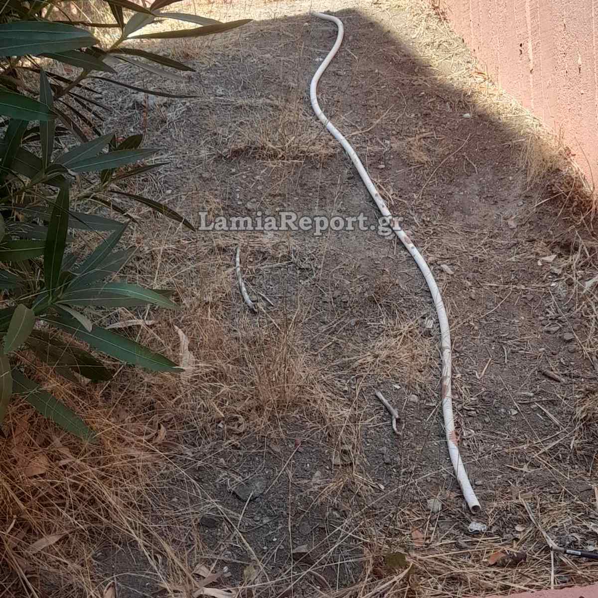 Λαμία, Λύκειο, Βανδαλισμοί