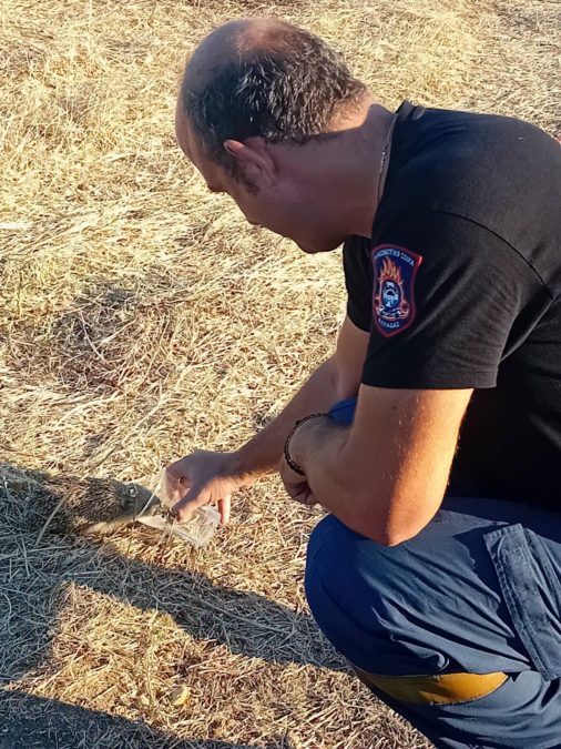 Πυροσβέστης δίνει νερό σε σκαντζόχοιρο μετά τη φωτιά στη Λήμνο