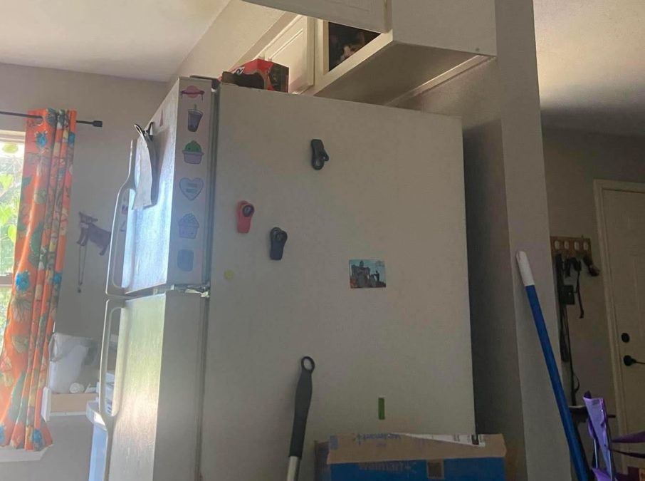 Οπτική ψευδαίσθηση: Μόνο όσοι έχουν τέλεια όραση μπορούν να εντοπίσουν τη γάτα μέσα σε 11 δευτερόλεπτα