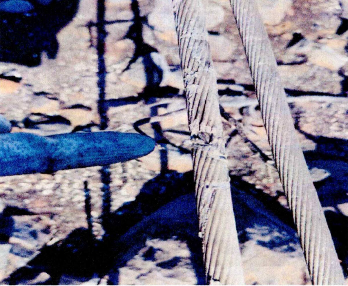 Ντοκουμέντο από το σημείο έναρξης της φωτιάς στην Βοιωτία