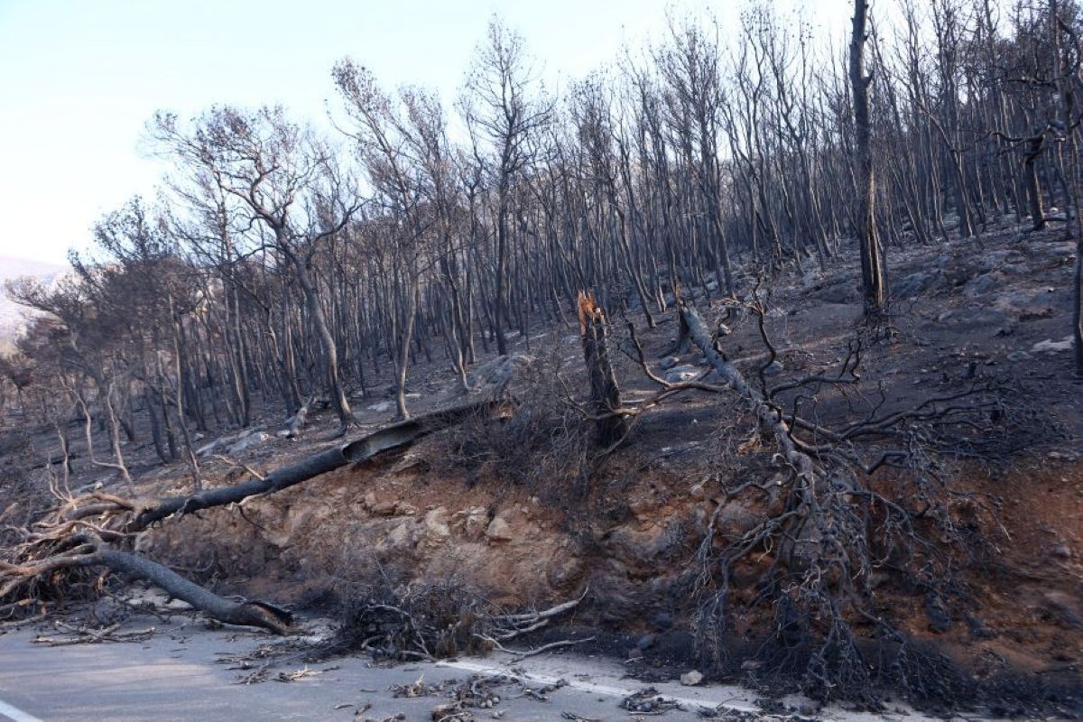 Πόρτο Γερμενό - εικόνες καταστροφής μετά την πυρκαγιά