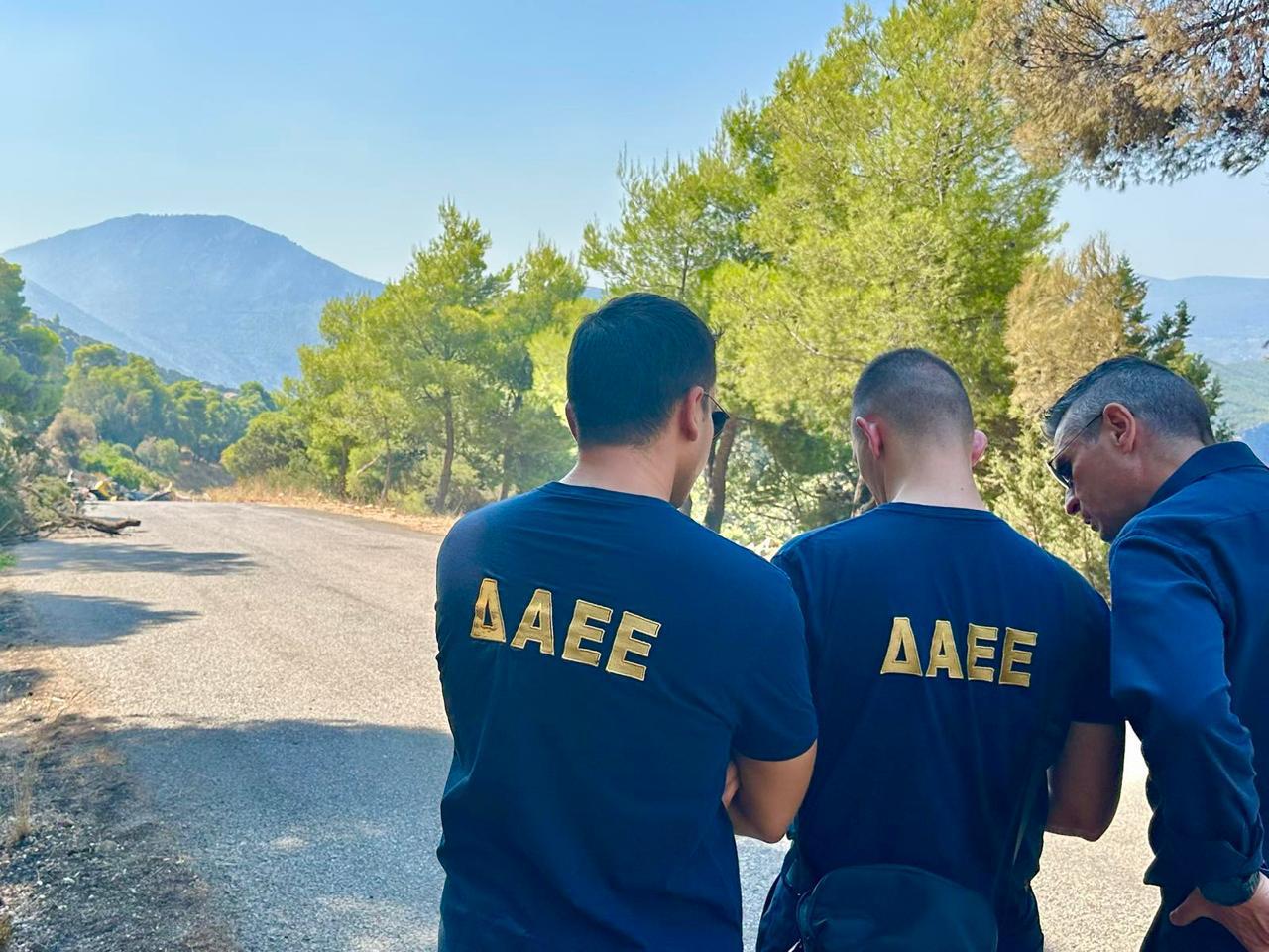 Ψάθα, ελικόπτερα, πτώση, Αυτοψία, ΔΑΕΕ