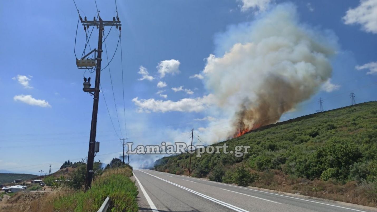Φωτιά στην Καμηλόβρυση Λαμίας, επιχειρούν 4 εναέρια – Μήνυμα του 112 για ετοιμότητα