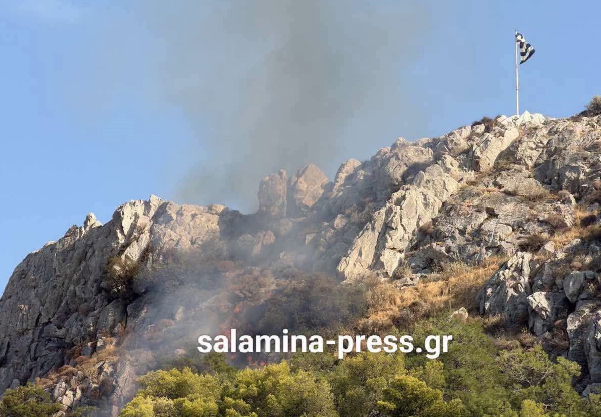Φωτιά στη Σαλαμίνα – Καίει δασική έκταση κοντά στον Προφήτη Ηλία