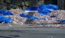 Βίντεο: 20 τόνοι καλαμάρια «πλημμύρισαν» δρόμο στις ΗΠΑ - Αφόρητη δυσοσμία «έπνιξε» το Ρόουντ Άιλαντ