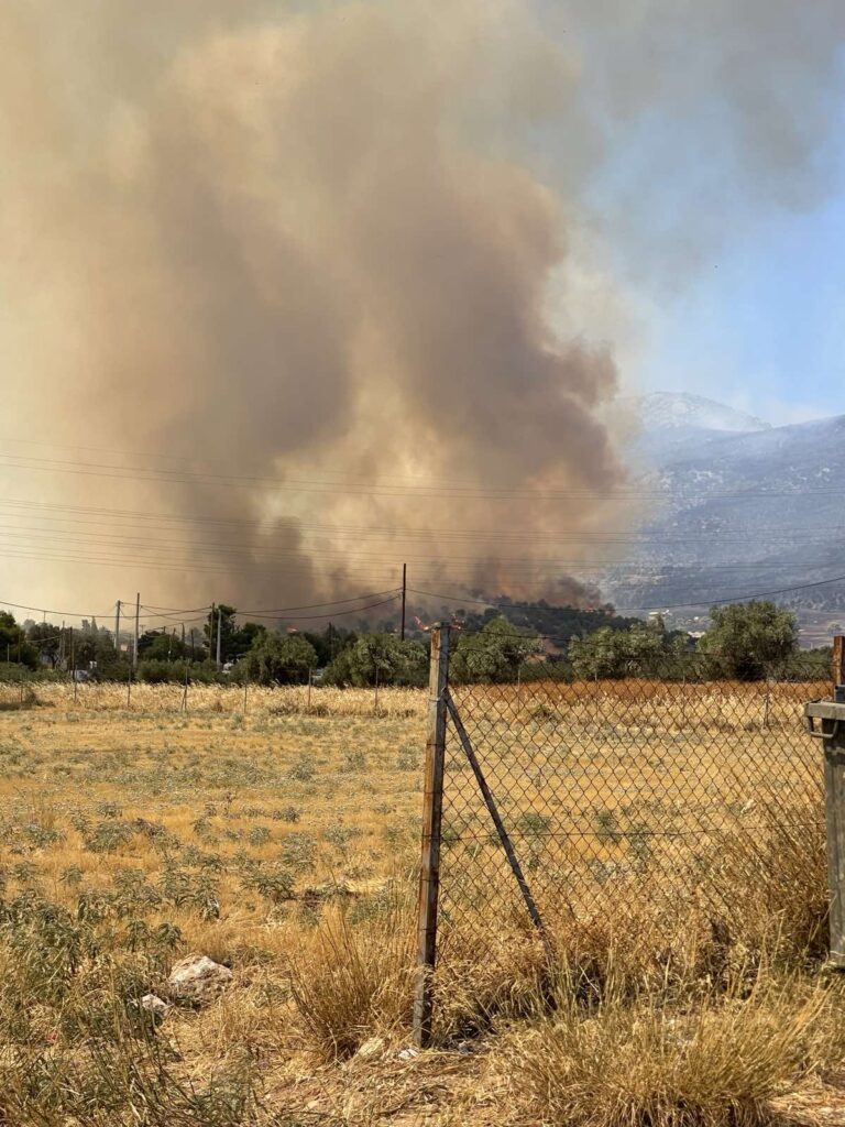 ΣΥΡΙΖΑ, κλιμάκιο, πυρόπληκτες περιοχές, Δυτική Αττική
