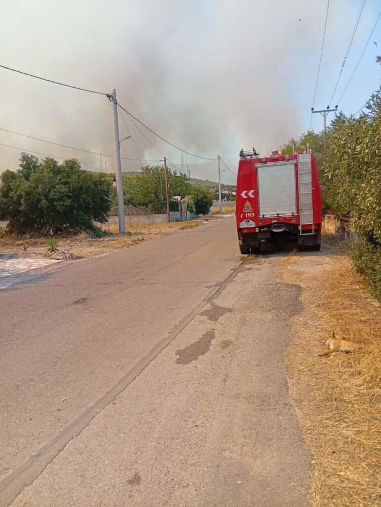 ΣΥΡΙΖΑ, κλιμάκιο, πυρόπληκτες περιοχές, Δυτική Αττική