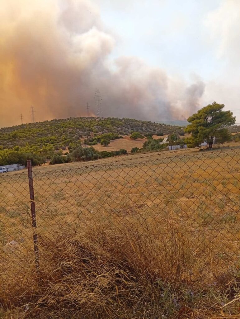 ΣΥΡΙΖΑ, κλιμάκιο, πυρόπληκτες περιοχές, Δυτική Αττική
