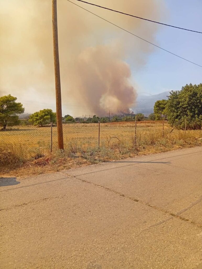 ΣΥΡΙΖΑ, κλιμάκιο, πυρόπληκτες περιοχές, Δυτική Αττική