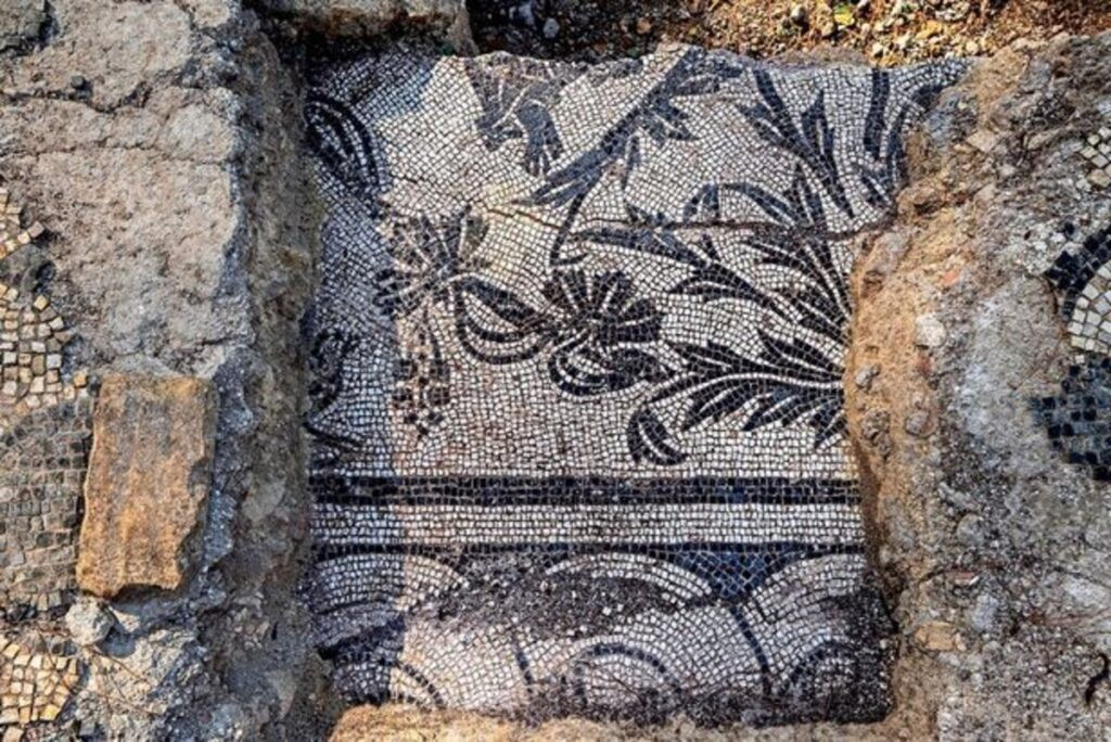 Ανθισμένα μοτίβα κοσμούσαν αυτό το δάπεδο, ενώ ανακαλύφθηκαν επίσης ίχνη μιας μεταγενέστερης αναδιαμόρφωσης. Πηγή: Υπουργείο Πολιτισμού (Ministero della Cultura)