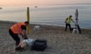 Χαλκιδική: Απελευθερώθηκε η παραλία της Γερακινής από πακτωμένες ομπρέλες και ξαπλώστρες - ΦΩΤΟ