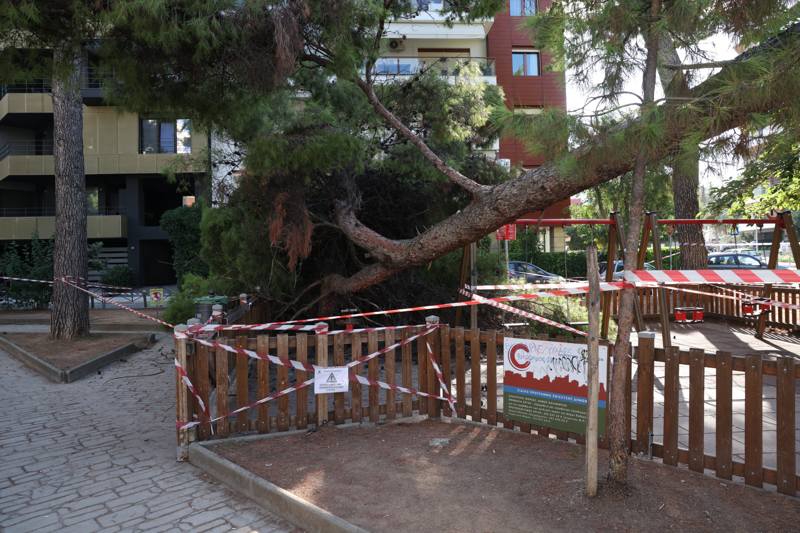 Θεσσαλονίκη: Παρέμβαση εισαγγελέα για την πτώση δέντρου σε πάρκο στην Καλαμαριά