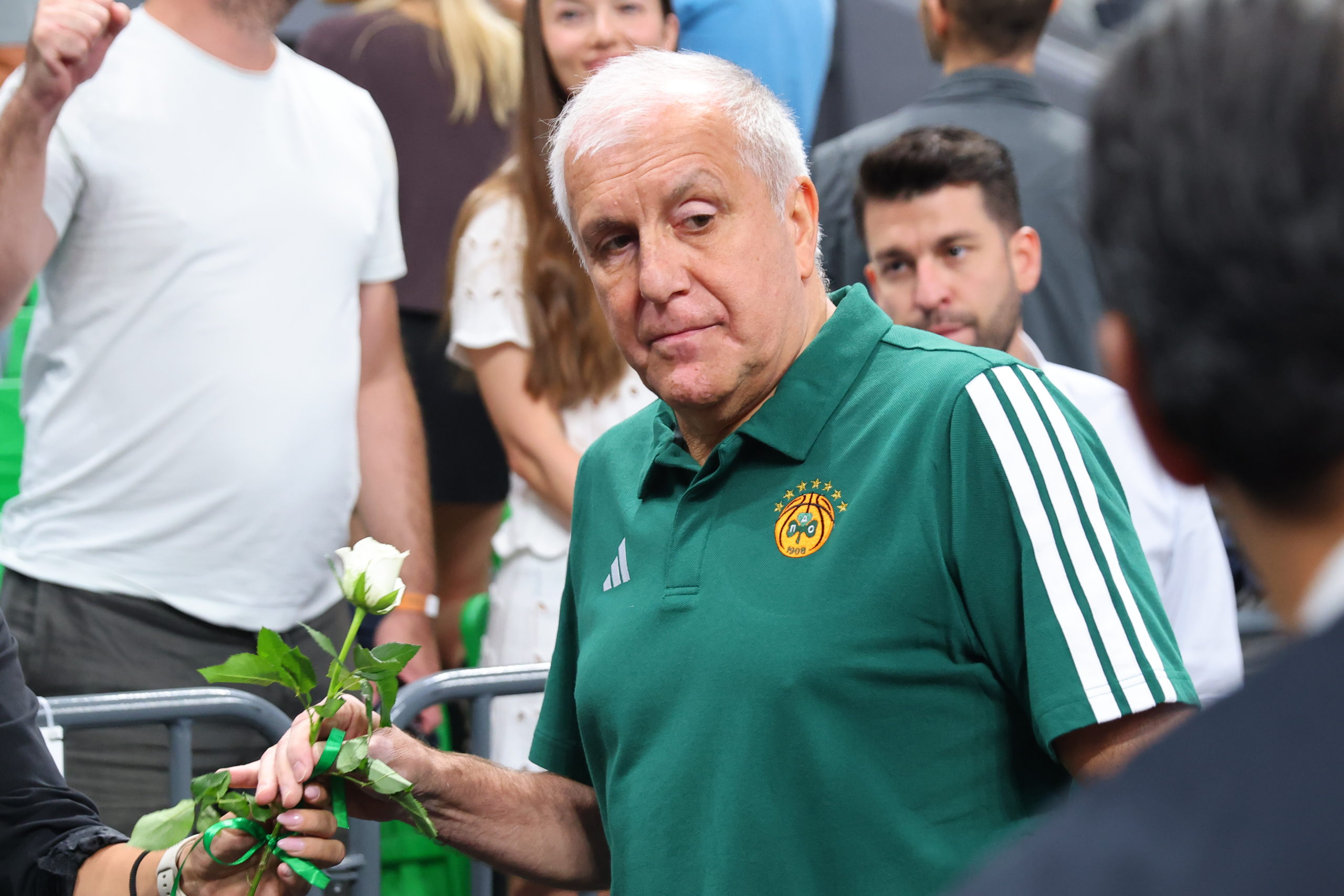 ΖΕΛΙΚΟ ΟΜΠΡΑΝΟΒΙΤΣ