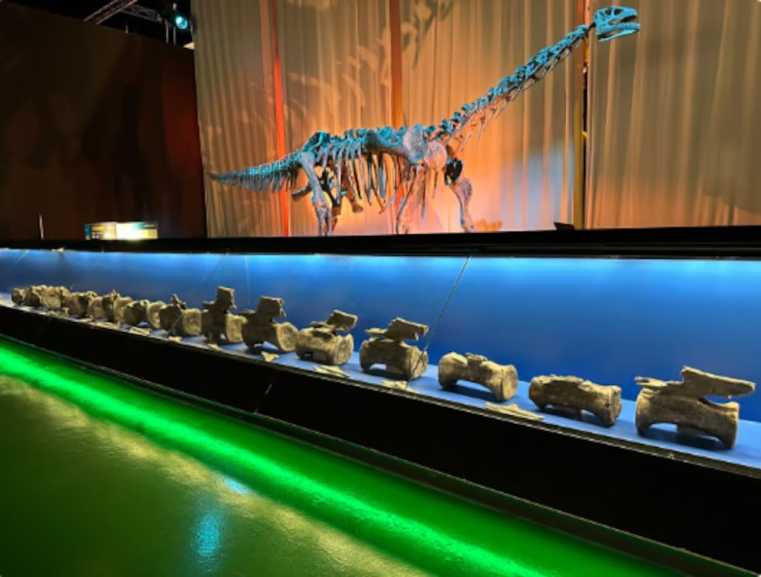 ΔΕΙΝΟΣΑΥΡΟΣ – ΙΣΠΑΝΙΑ – ΠΗΓΗ: EL PAIS/ MUSEO DE PALEONTOLOGÍA DE ARAGÓN