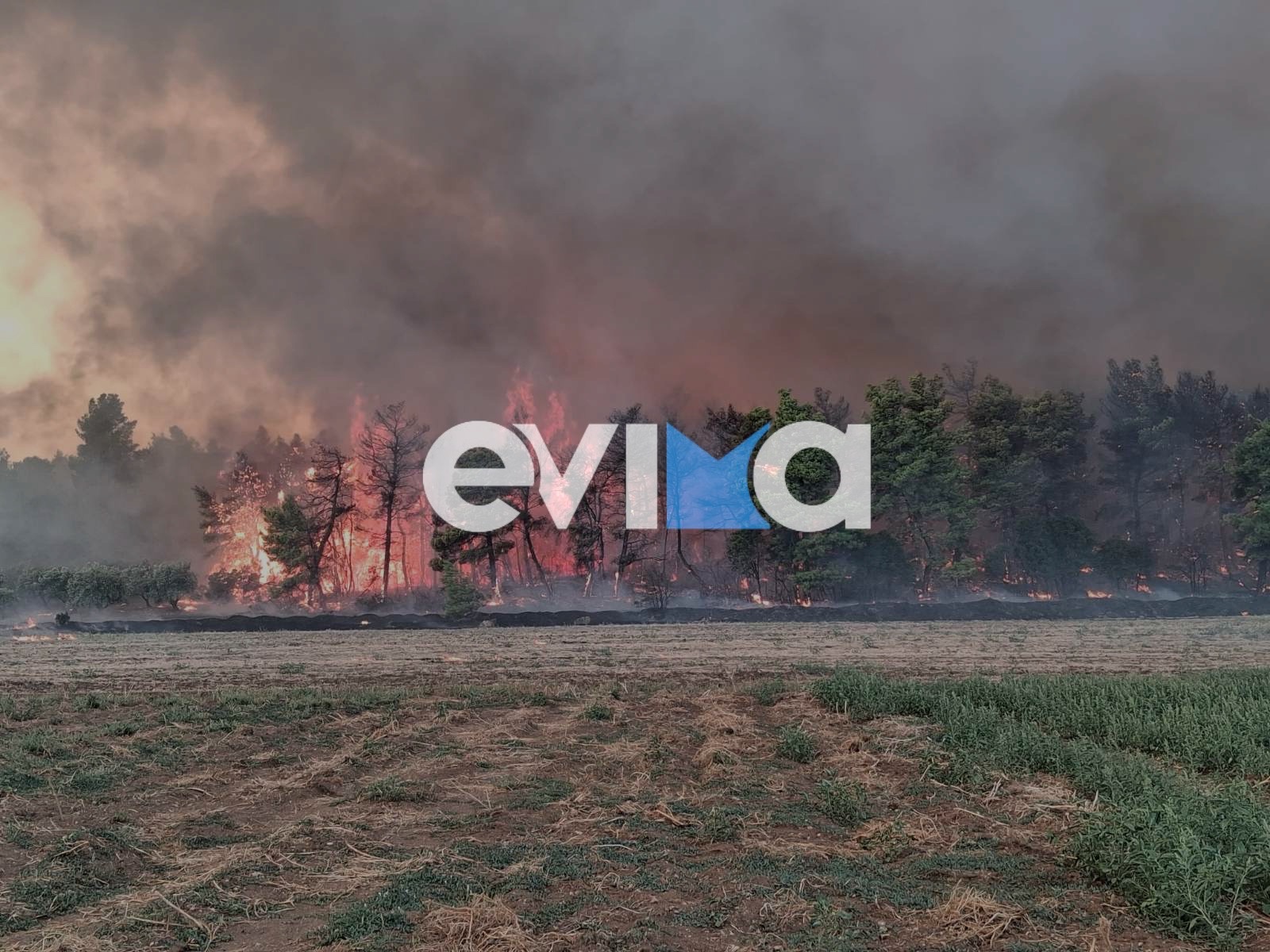Φωτιά, Εύβοια
