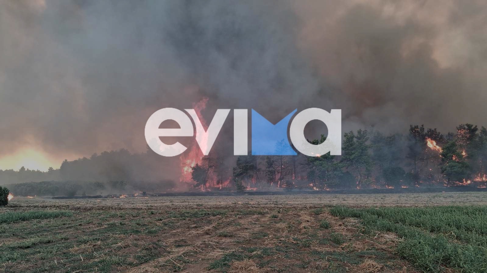Φωτιά, Εύβοια