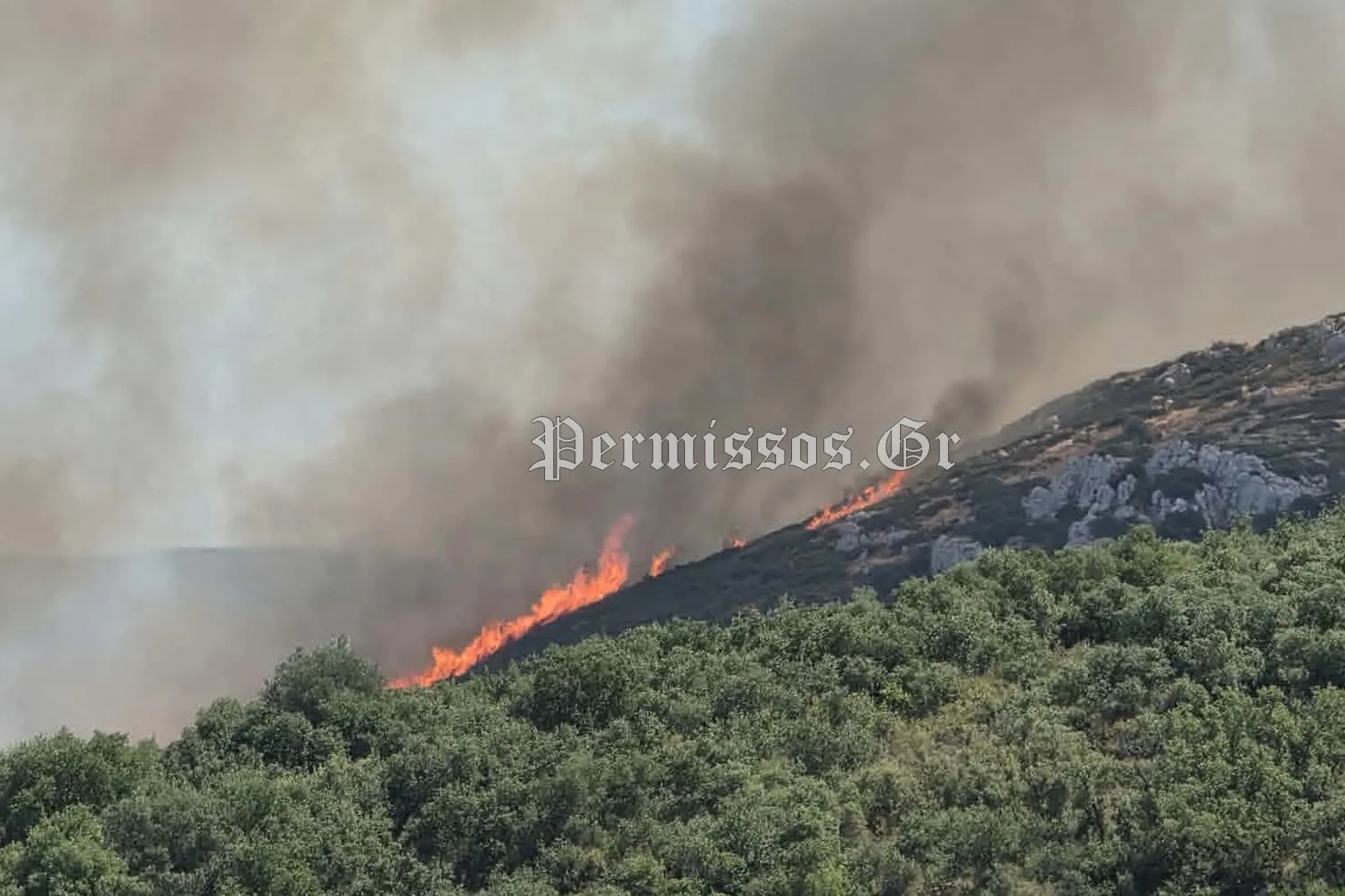 Θήβα: Νέες εικόνες και βίντεο από τη φωτιά στον Μύτικα – Ισχυρές δυνάμεις της πυροσβεστικής στο σημείο