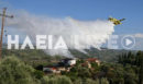 Ηλεία: Φωτιά σε αγροτοδασική έκταση στο Χειμαδιό – Επιχειρούν και εναέρια μέσα