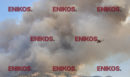 Εύβοια: Στη μάχη και 5 εναέρια μέσα για τη φωτιά στη Μακρυκάπα - Φωτογραφίες και βίντεο αναγνώστη
