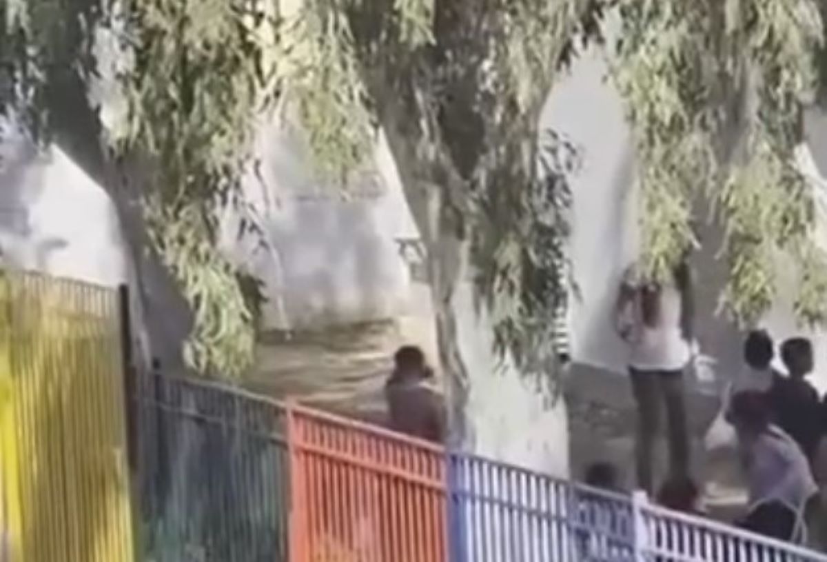 Άνω Λιόσια: «Θόλωσα και της έριξα δυο χαστούκια» υποστηρίζει ο πατέρας της 4χρονης που χτύπησε τη διευθύντρια – Βίντεο από τη στιγμή της επίθεσης