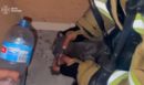 Συγκλονιστικό βίντεο από το Κίεβο: Διασώστες παλεύουν να επαναφέρουν στη ζωή γάτα ύστερα από ρωσικό πλήγμα