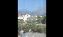 Φωτιά σε πευκοδάσος στην Εύβοια - Μήνυμα από το 112 για ετοιμότητα - ΒΙΝΤΕΟ