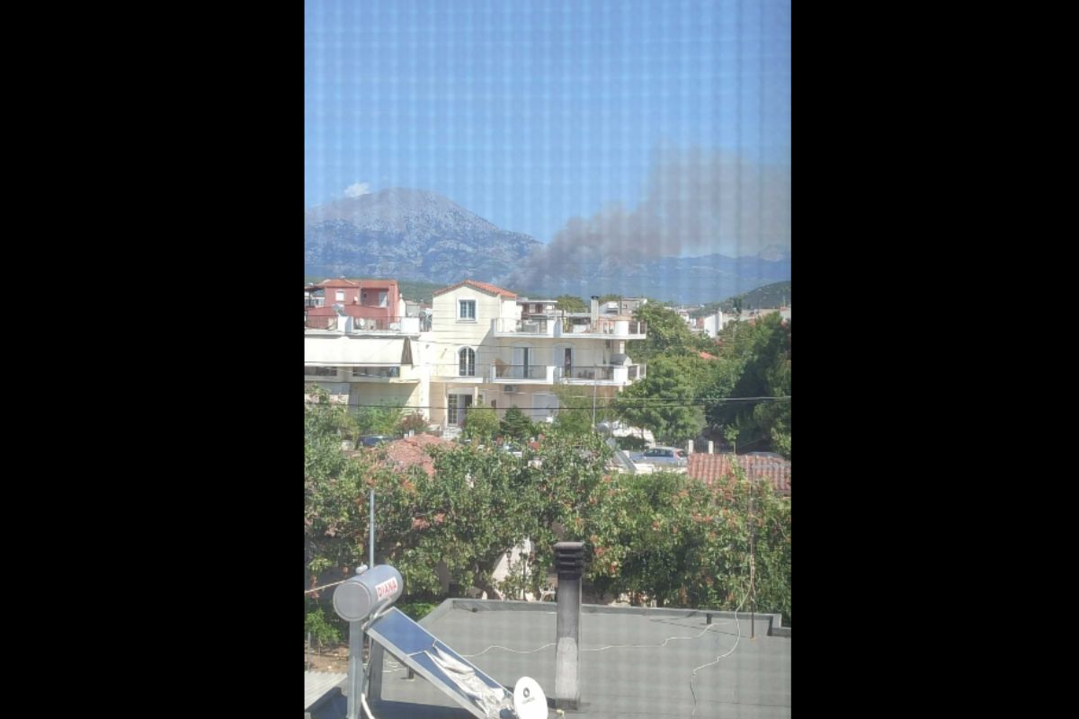 Φωτιά σε πευκοδάσος στην Εύβοια – Μήνυμα από το 112 για ετοιμότητα – ΒΙΝΤΕΟ