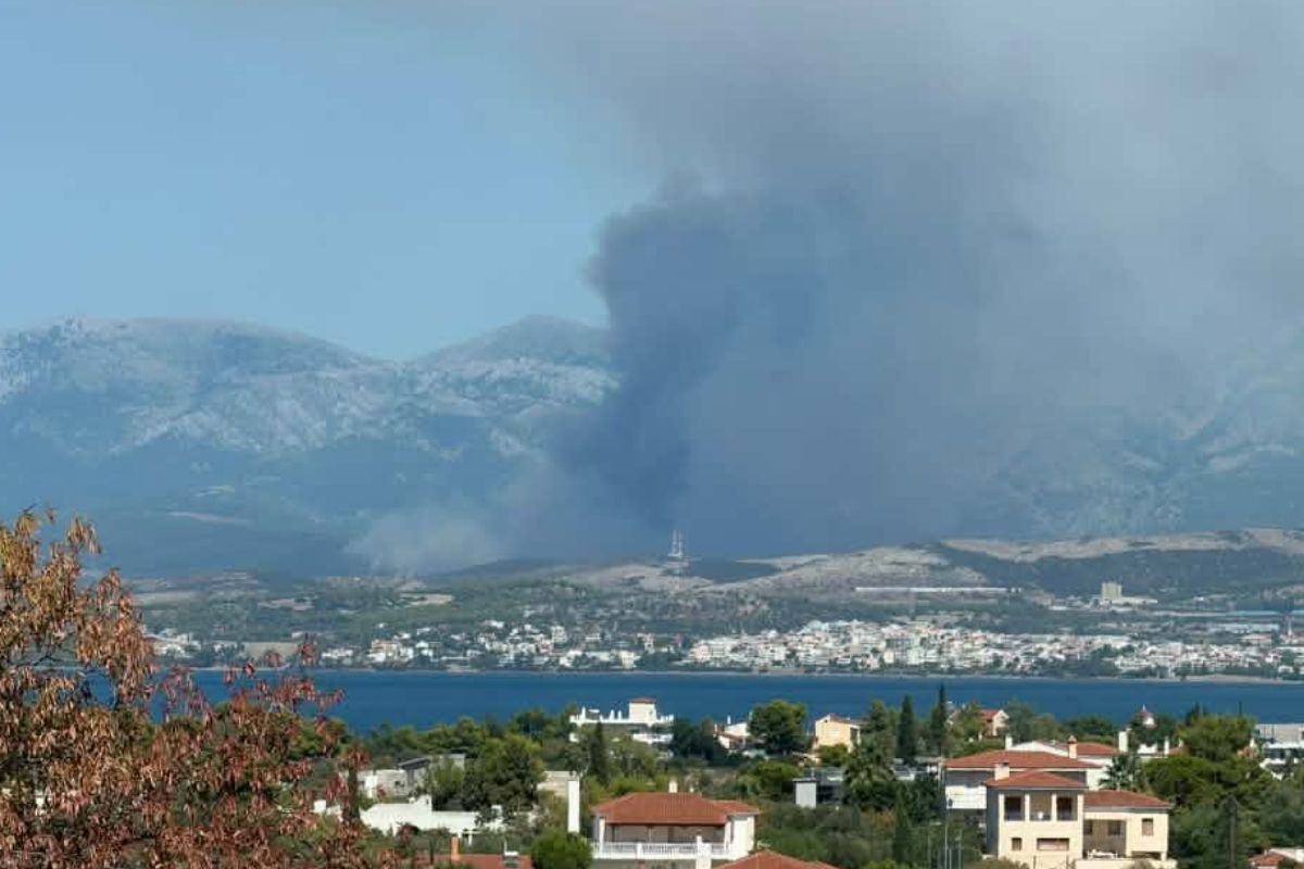 φωτιά στην Εύβοια
