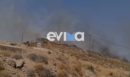 Φωτιά στην Εύβοια: Νέο μήνυμα 112 για εκκένωση