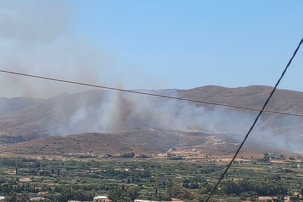 Φωτιά στην Εύβοια: Μάχη με τις φλόγες και τους ανέμους στην Κάρυστο – Στα 4 χλμ. το πύρινο μέτωπο, κοντά σε διάσπαρτες κατοικίες – ΒΙΝΤΕΟ