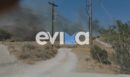 Εύβοια: Συναγερμός για φωτιά στην Κάρυστο - Μήνυμα 112 για ετοιμότητα