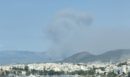 Φωτιά στην Εύβοια: Εκκενώνεται η περιοχή Τριάδα - «Απομακρυνθείτε προς Ψαχνά»
