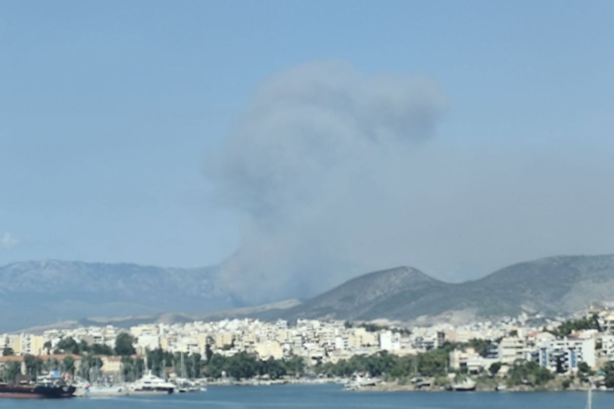 φωτιά Εύβοια